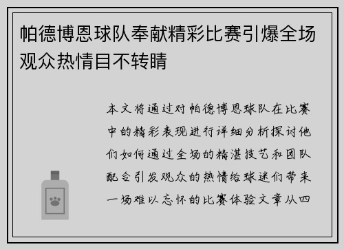 帕德博恩球队奉献精彩比赛引爆全场观众热情目不转睛