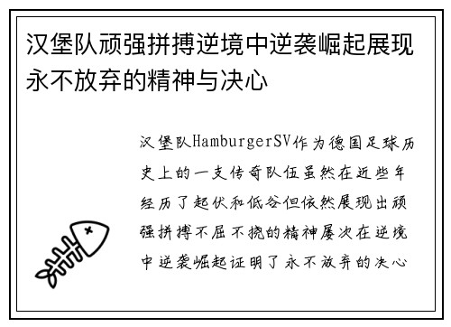 汉堡队顽强拼搏逆境中逆袭崛起展现永不放弃的精神与决心