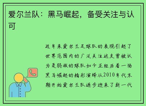 爱尔兰队：黑马崛起，备受关注与认可