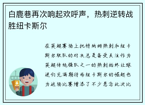 白鹿巷再次响起欢呼声，热刺逆转战胜纽卡斯尔