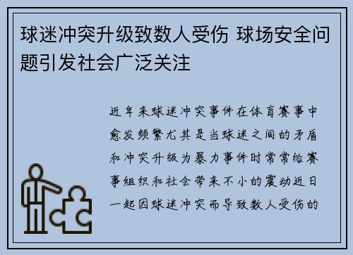 球迷冲突升级致数人受伤 球场安全问题引发社会广泛关注